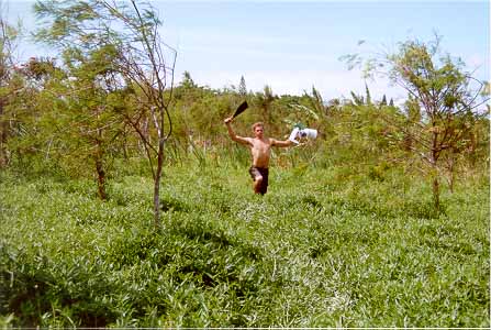 swamp-jason-running-in-honohono-8-00.jpg